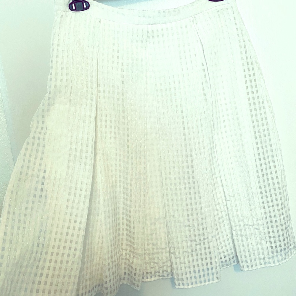 Pleased skirt